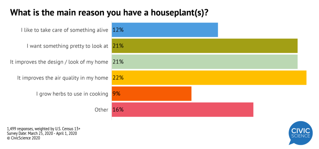 What's the Main Reason You Have a Houseplant