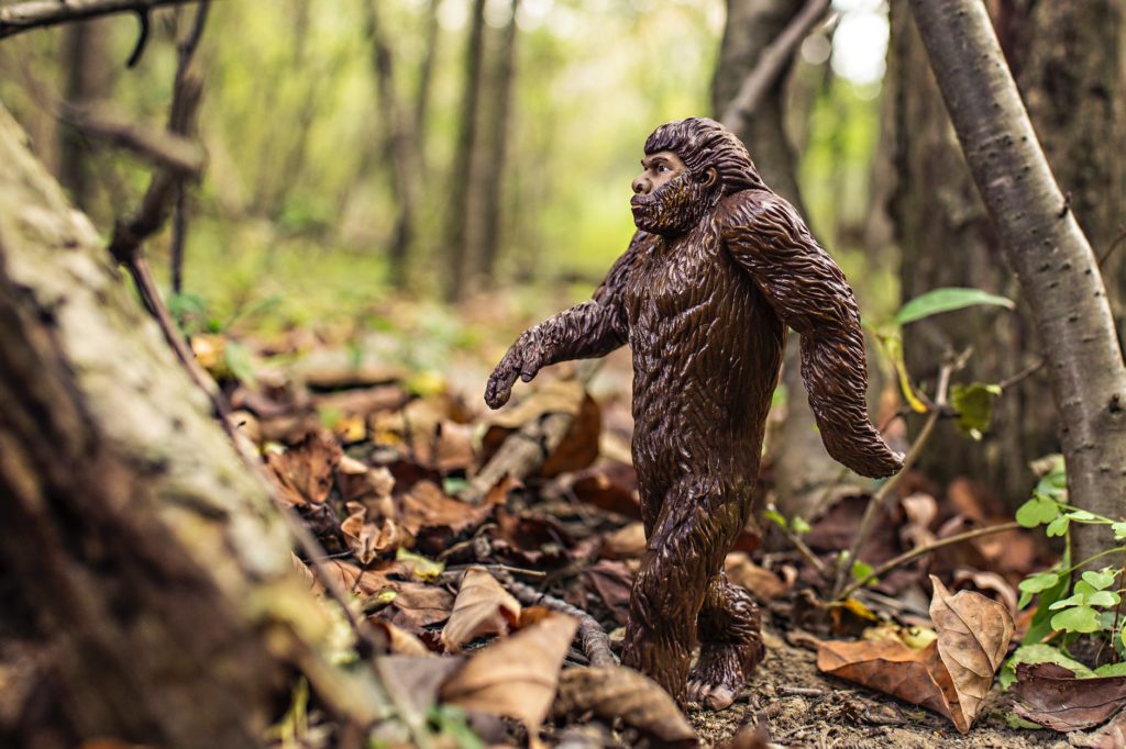 Is Bigfoot Real? - The Atlantic